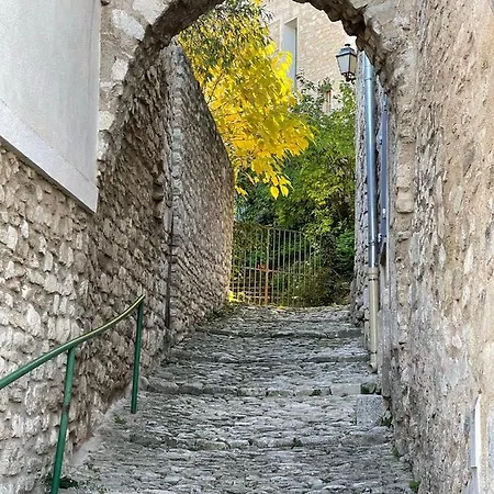 Fleurs De Provence * L'Isle-sur-la-Sorgue